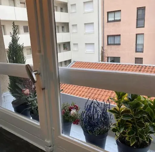 Studio Cocooning Et Refait A Neuf. Lyon 06