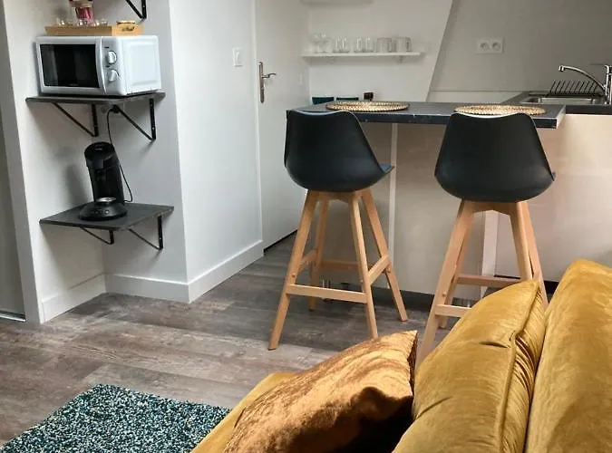 Studio Cocooning Et Refait A Neuf. Lyon 06