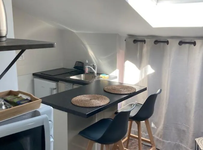 Studio Cocooning Et Refait A Neuf. Lyon 06