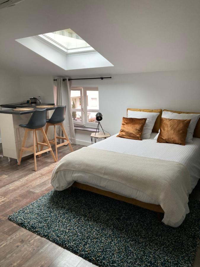 Apartment Cocooning Et Refait A Neuf. 06 Lyon